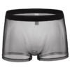 Sous-vêtement pour homme transparent sexy