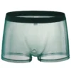 Sous-vêtement pour homme transparent sexy